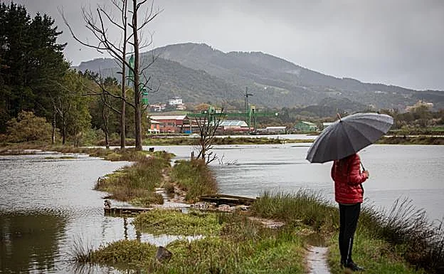 Vista de las marismas de Urdaibai con el solar de Astilleros Murueta al fondo.